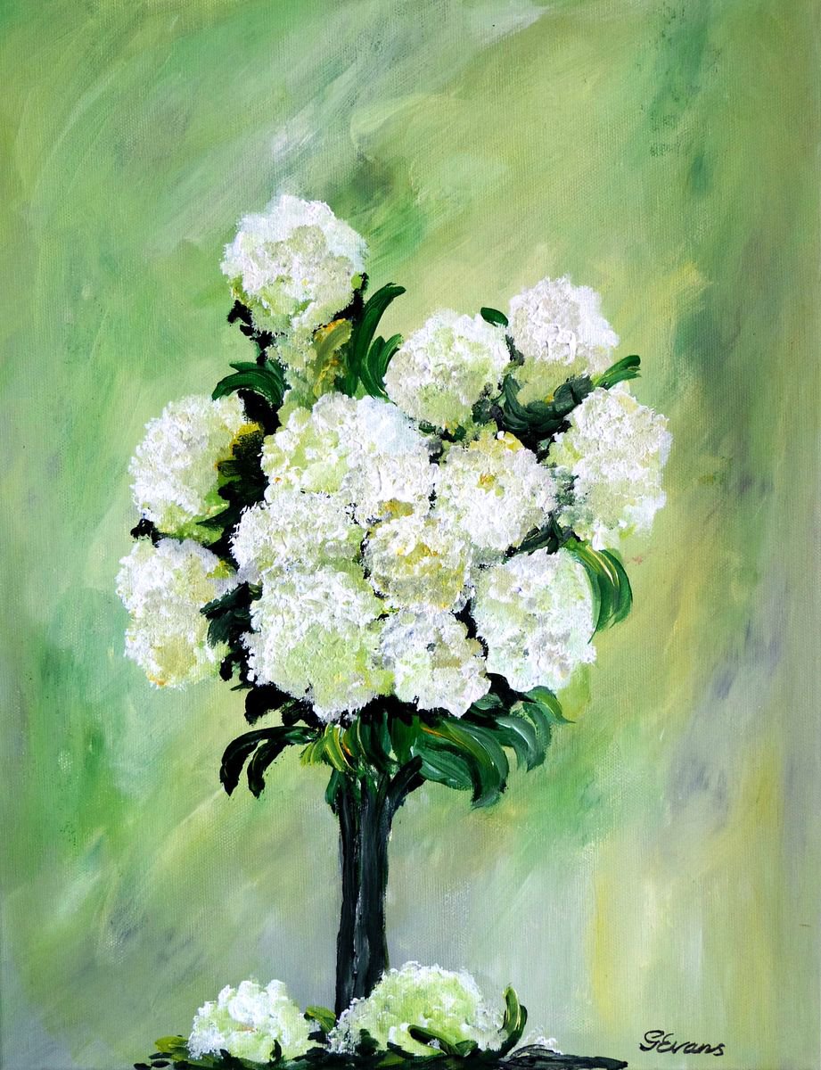 White Carnation by Graham Evans