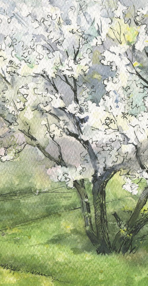 Spring again. The splatter of a rain / Original watercolor landscape. Blooming tree picture. Sketch by Olha Malko