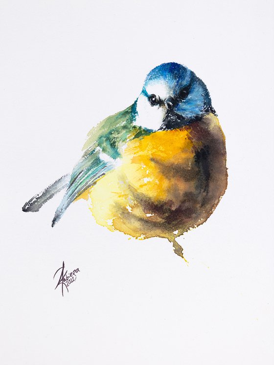 Eurasian Blue Tit