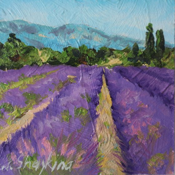 Mountain and Lavender Field