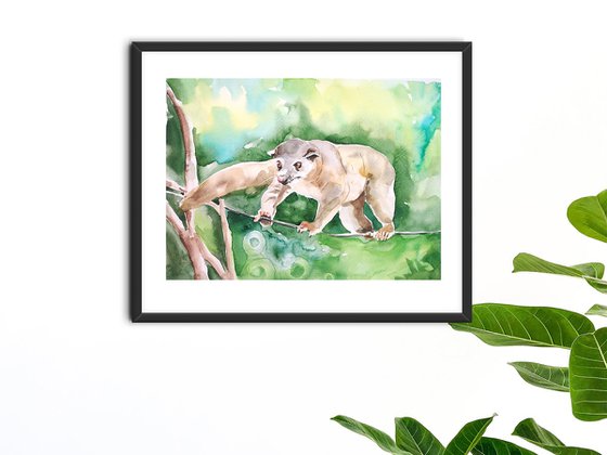 Olingo Raccoon animal watercolor