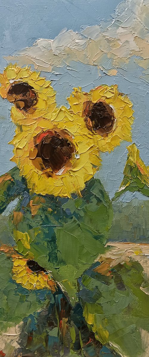 Sunflowers on the field. Yellow flowers for gift by Marinko Šaric