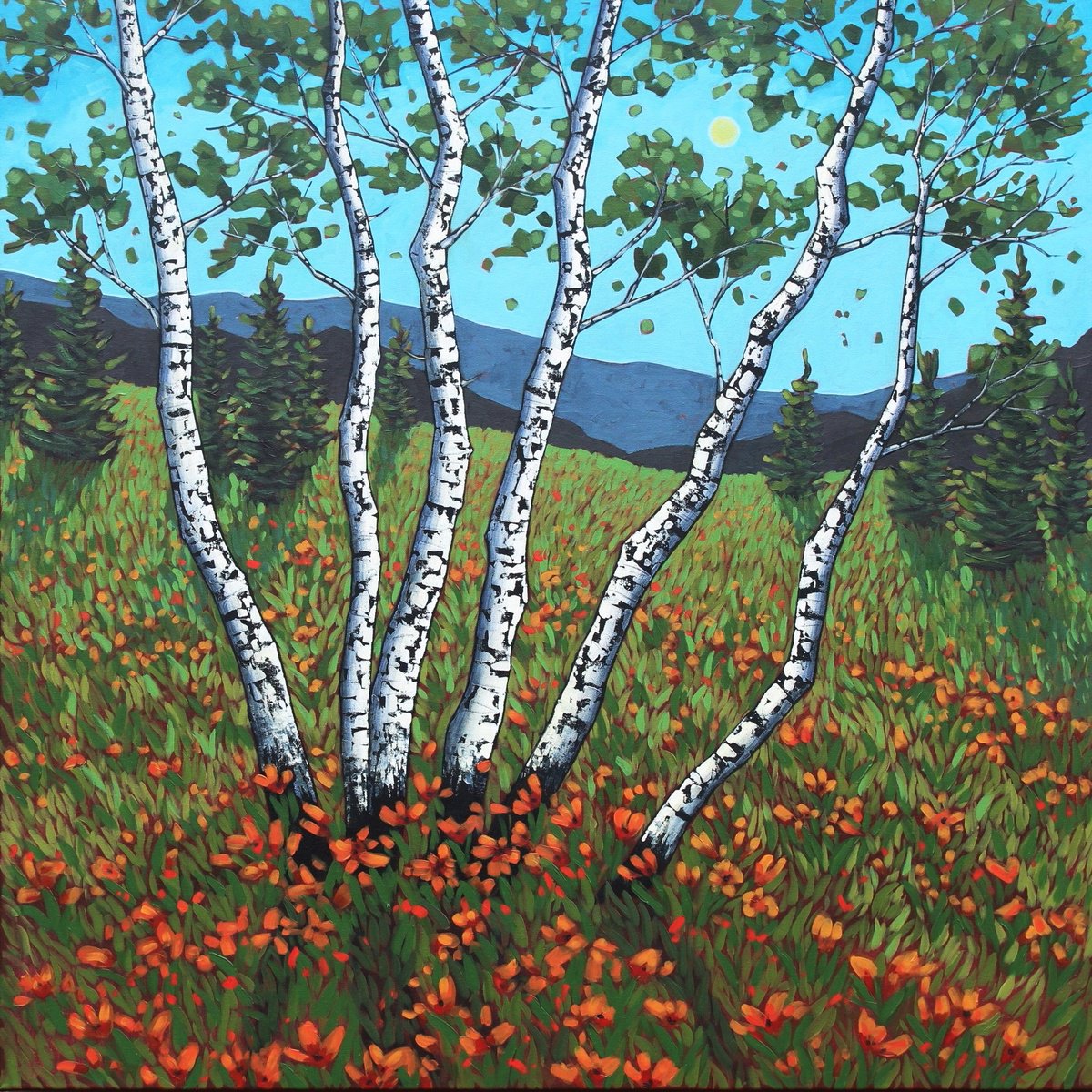 Birch Meadow By Sage Mountain Studio, 36 X 36, Artwork For Sale On Artfinder