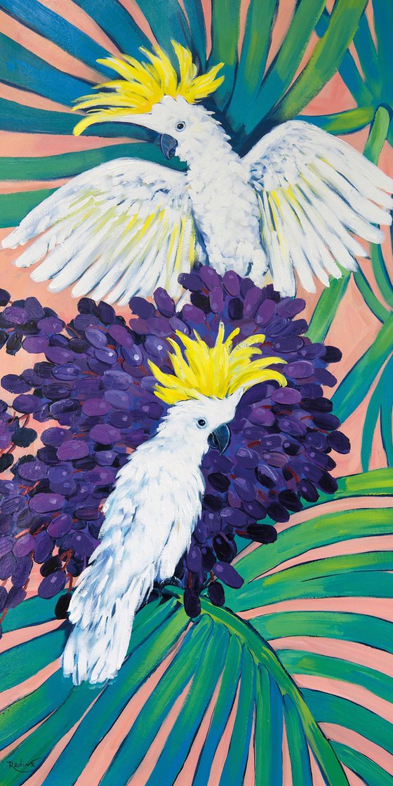 Cockatoo Feast