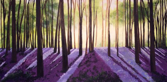 Purple sunshine