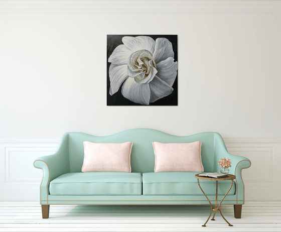 White Camellia Bloom