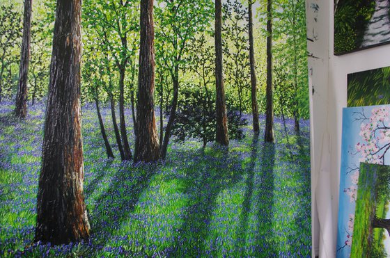 Springtime Shadows