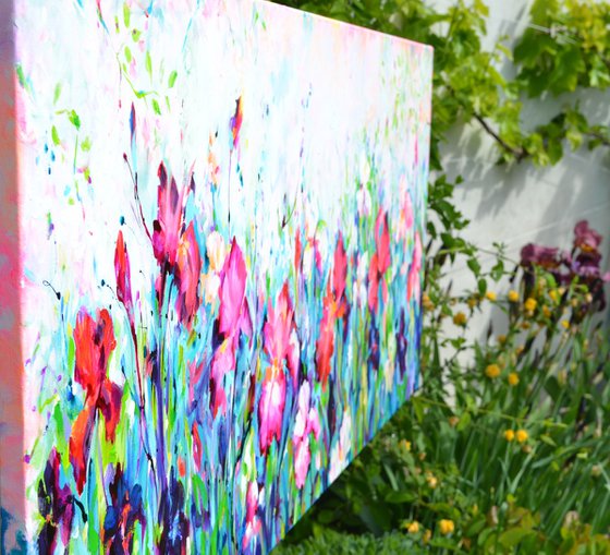 Colorful Iris Garden