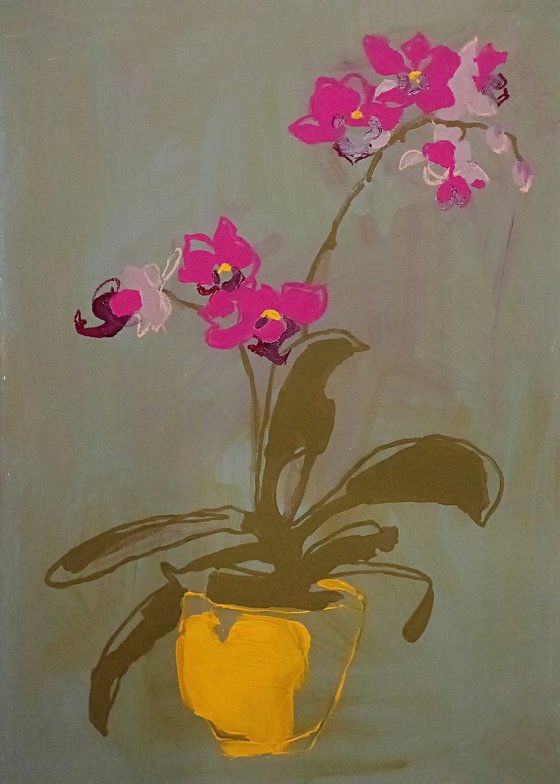 #33/24 Orchids