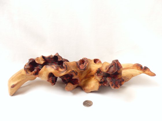 Emerging Phoenix - Abstract Wood Sculpture