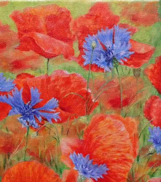 Poppies with cornflowers.