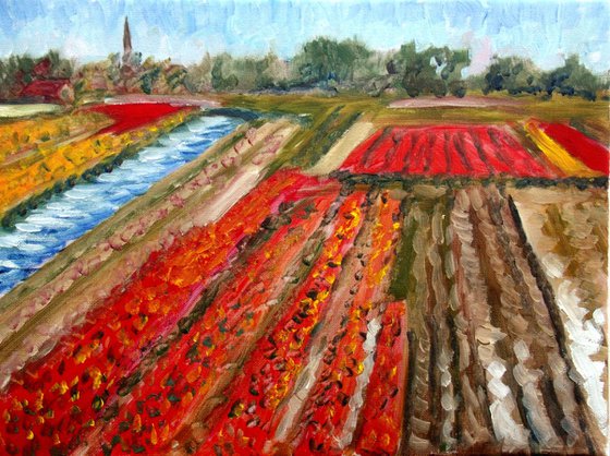 Tulip fields