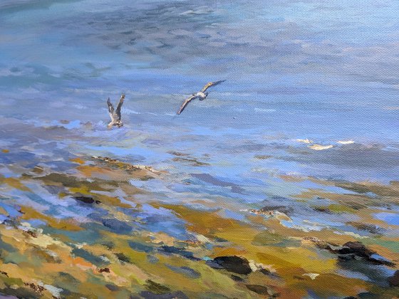 Breeze over the bay