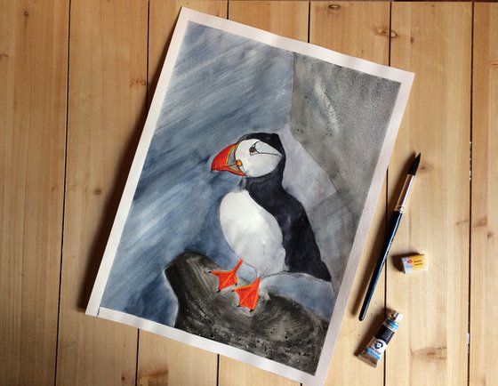 Bird portrait of a puffin  - Gift idea for bird lover