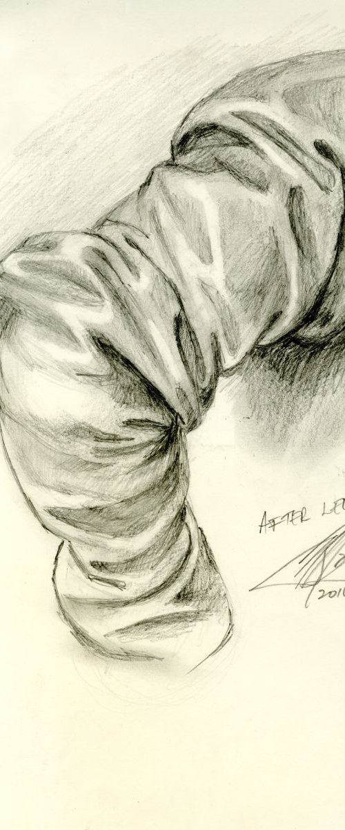 After Leonardo - Fabric study; sleeve by James Simon
