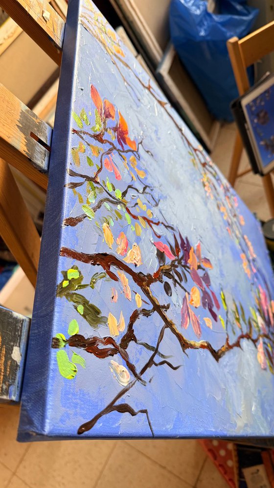 Tel Aviv Jaffa boats