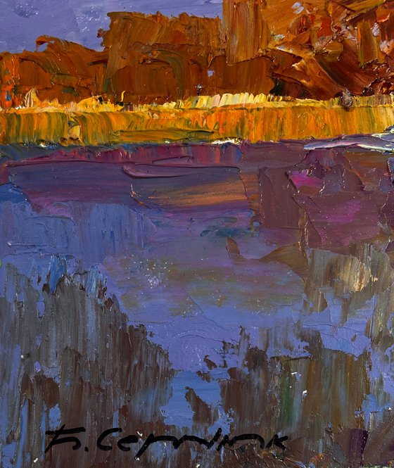 Silent Cover Gently Covering the Earth