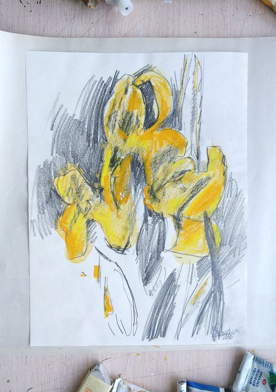 Yellow Irises #3 sketch