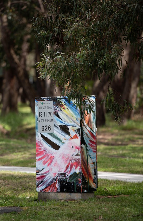 Capturing Freedom - Pink Cockatoo