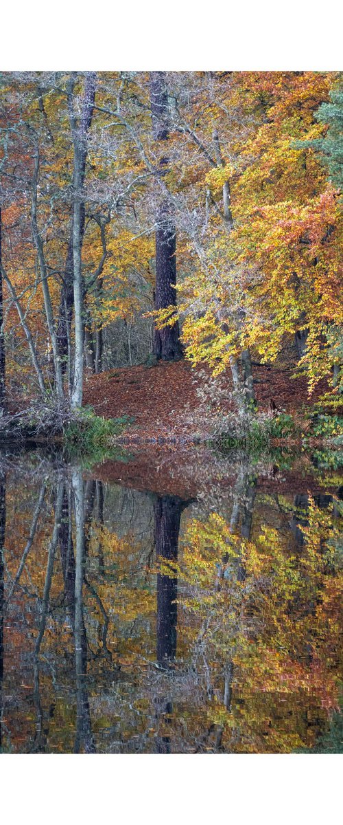 Monymusk Reflections III by David Baker