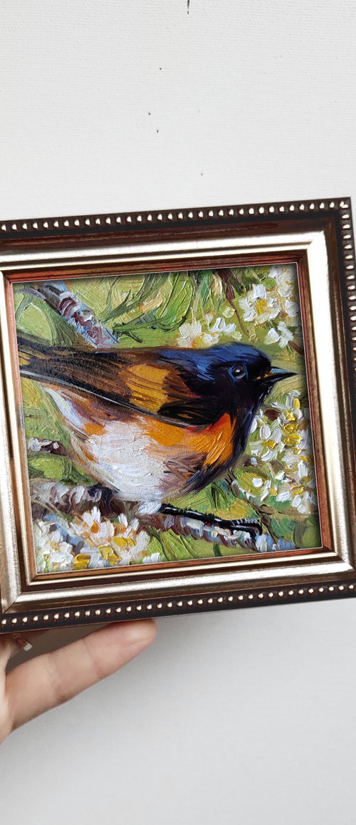 American redstart Bird by Nataly Derevyanko