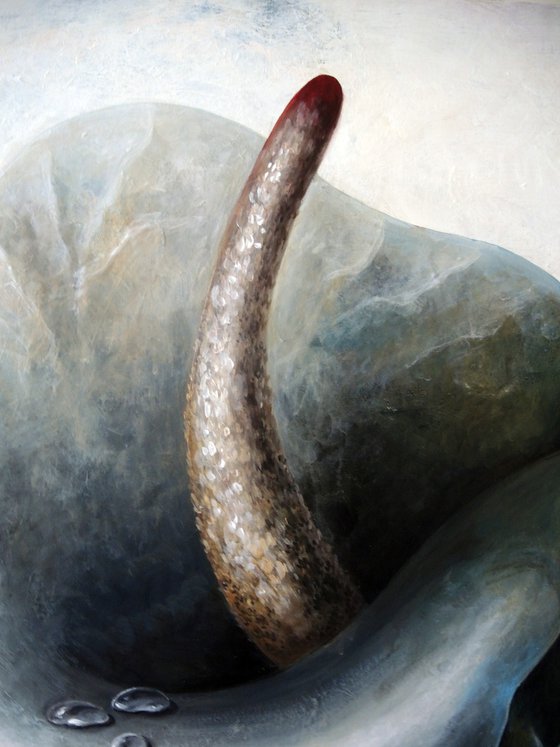 Where Strength Begins