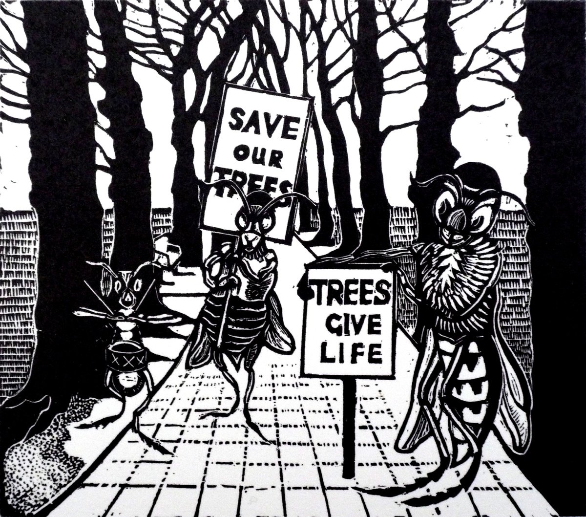 Animal Etchings & Engravings By Rebecca Coleman, 10 X 10", Save Our Trees, Original Artwork