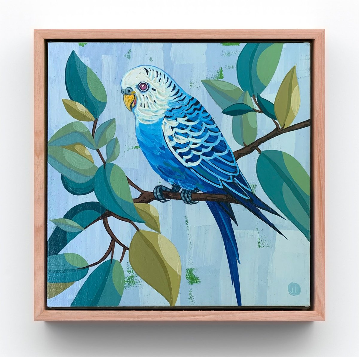 Budgie Beauties: Twinkle by JULIE LYNCH