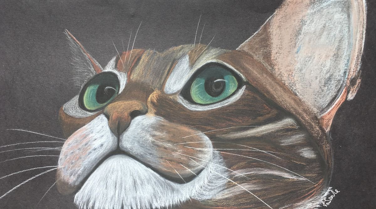 Pastel cat by Ruth Searle