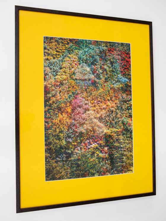 Wall of Nature I (Framed)