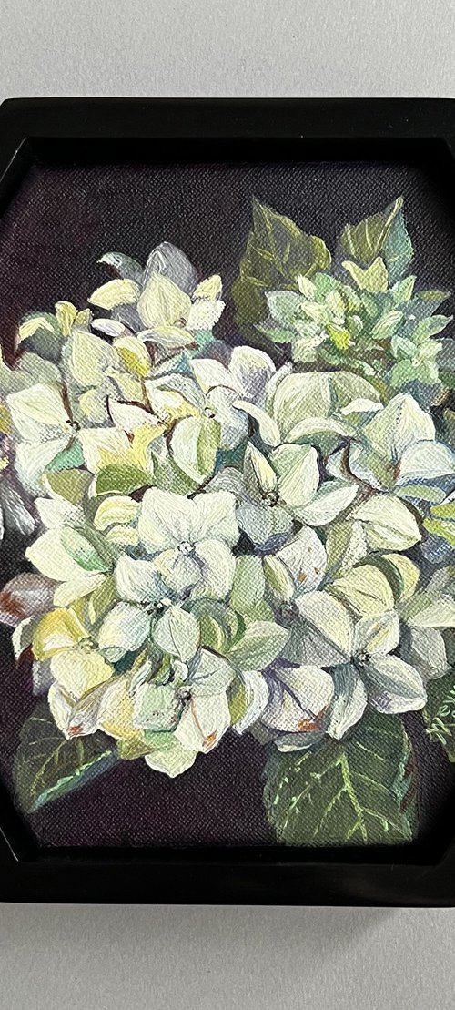 White hydrangea. Bouquet of flowers in oil painting. by Natalia Veyner