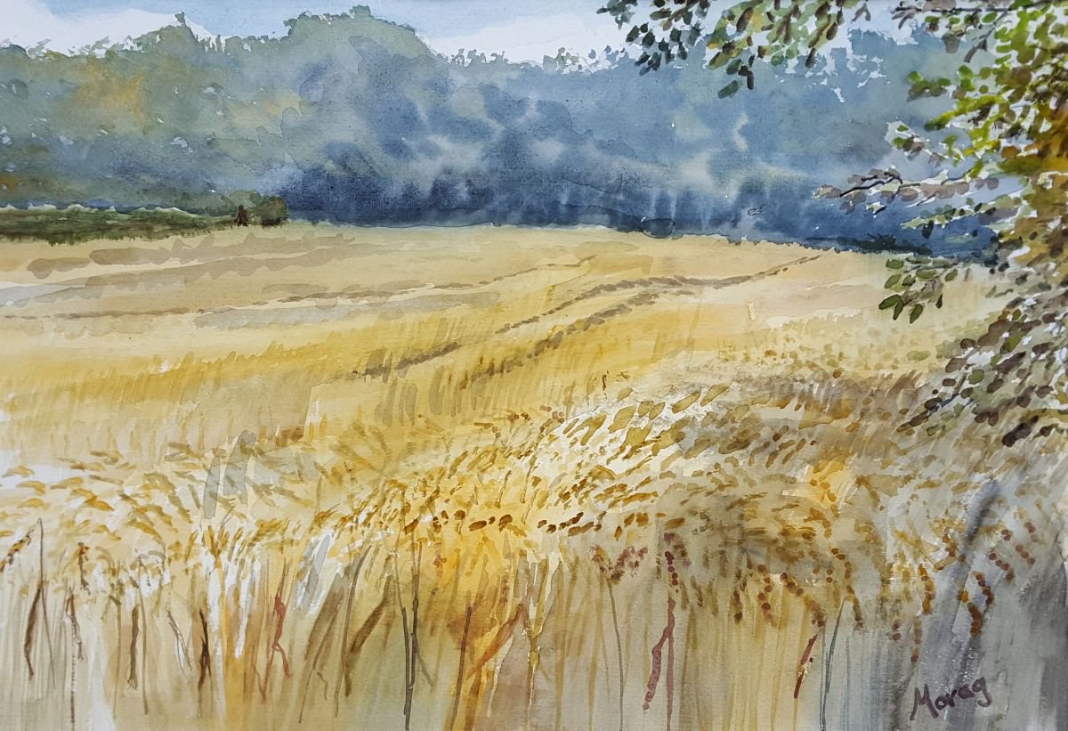 Wheat Field by Morag Paul