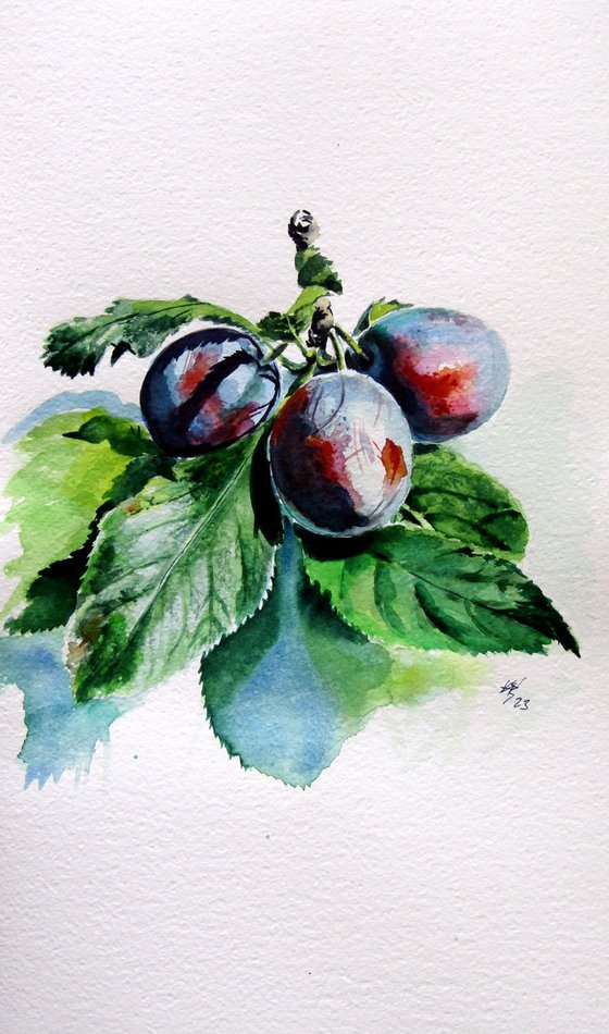Plum