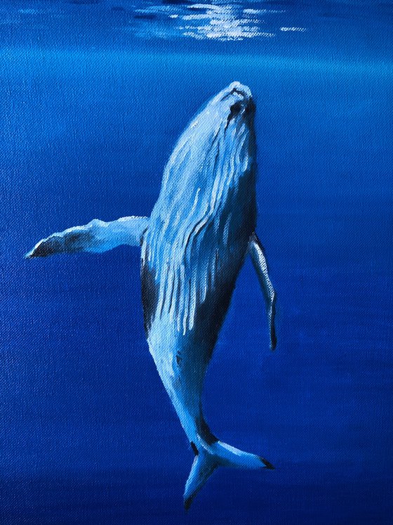 Whale in blue ocean