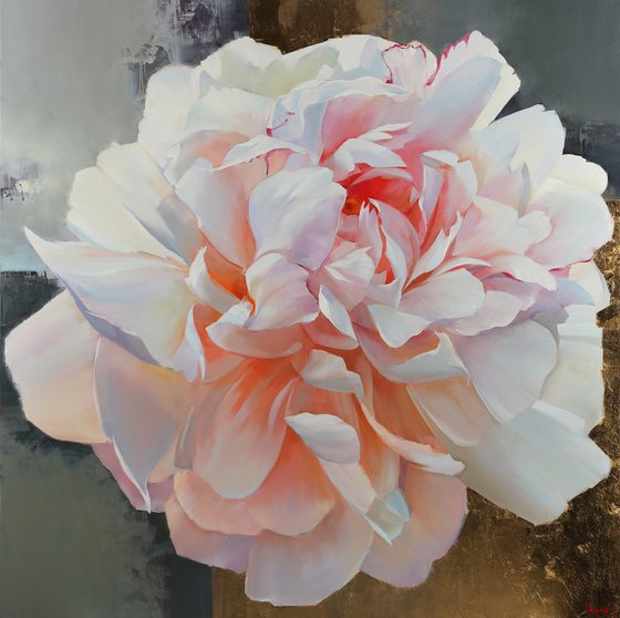 Rosa ancora