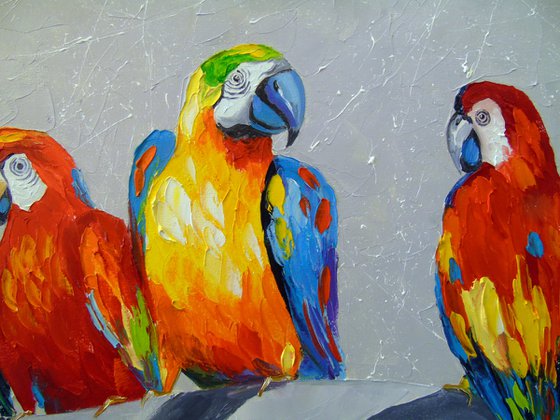 Parrots on Zebra