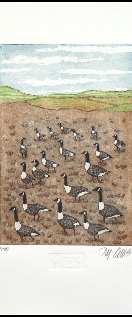 Winter camp with Canada Geese by Mariann Johansen-Ellis