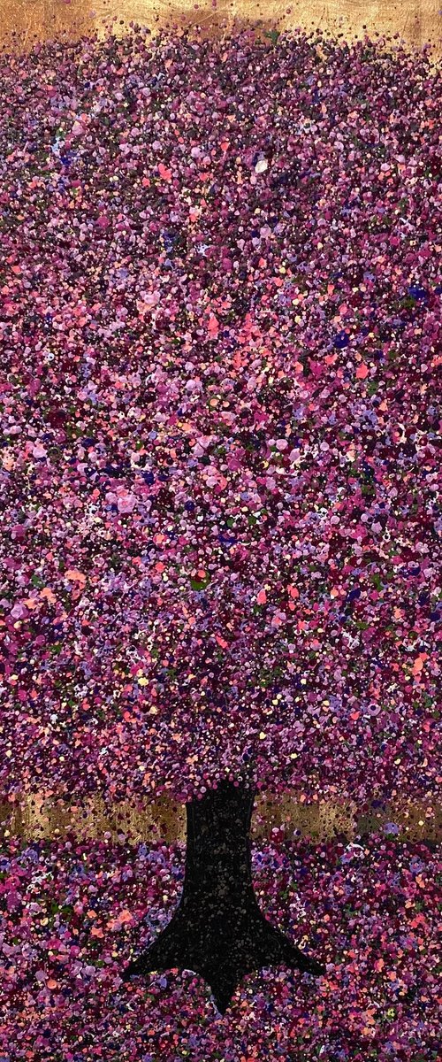 Beautiful Purple Blossom by Nicky  Chubb