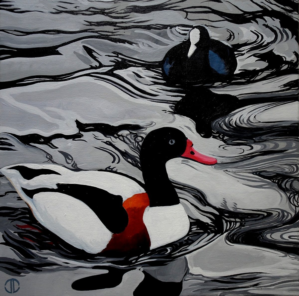 Shelduck And Coot On The Serpentine by Joseph Lynch