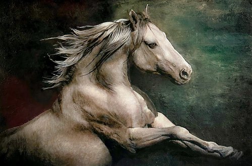 Wild Horse by Paul Hardern