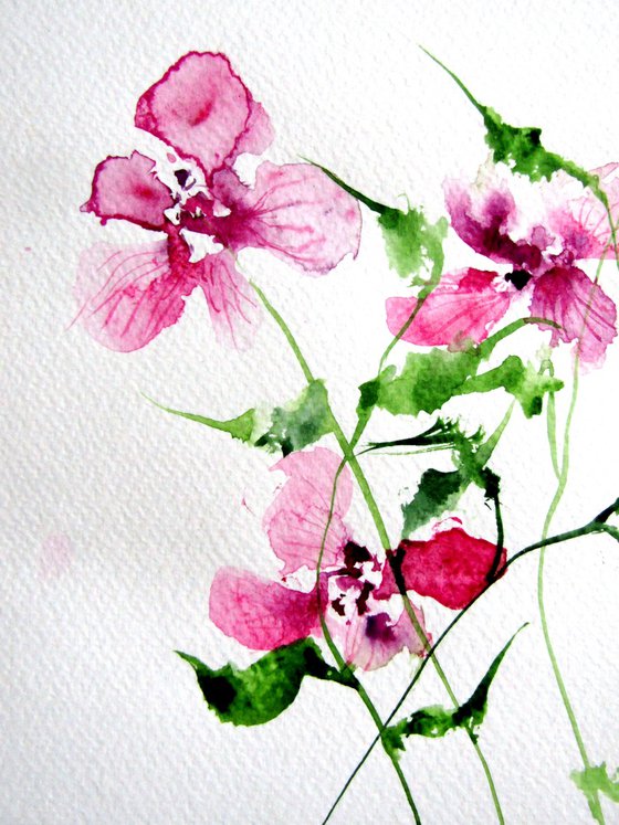 Flower collection