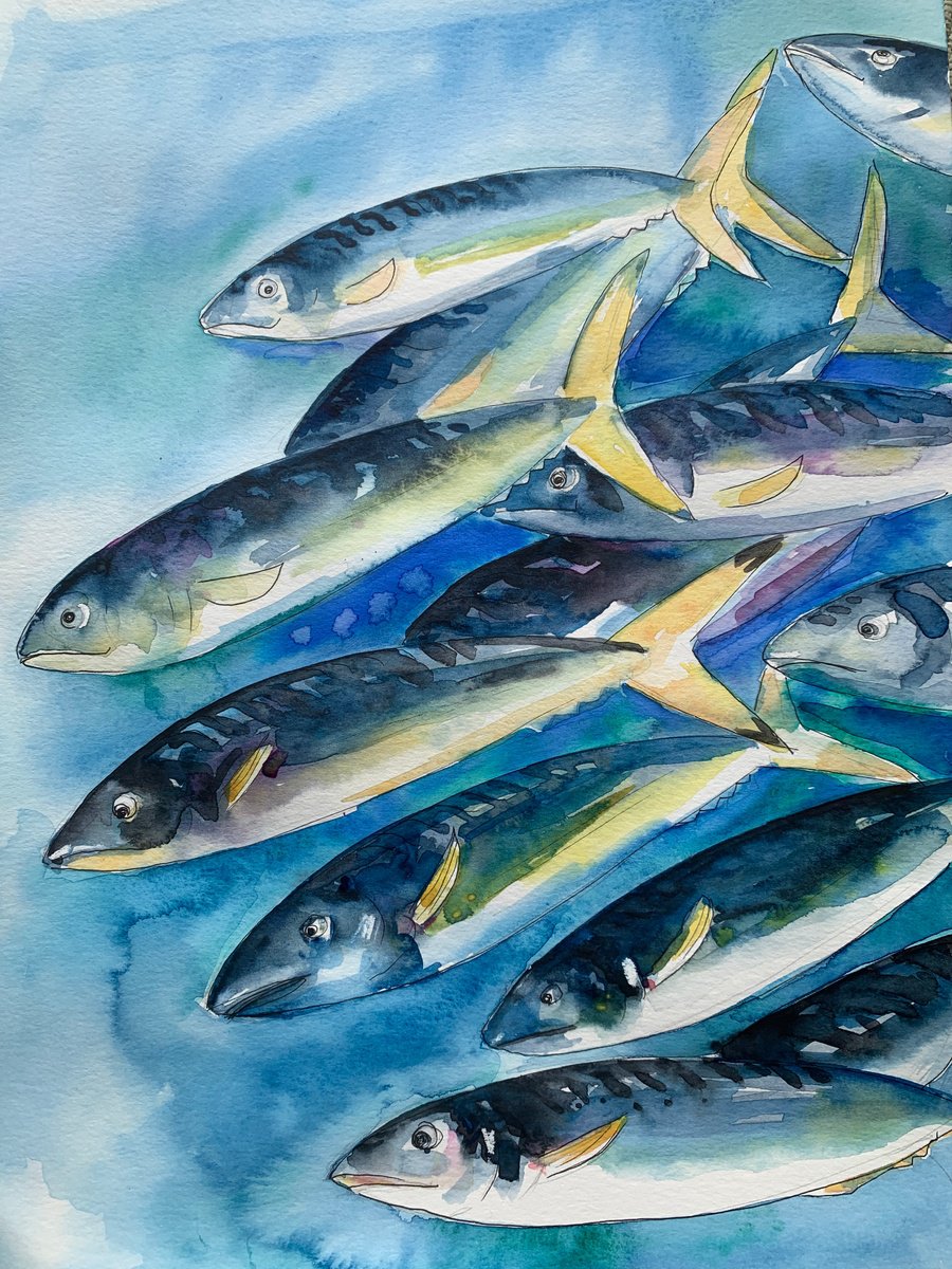 Impressionistic Animal Watercolour By Olga Pascari, 12 X 16", Fish Life, Original Artwork