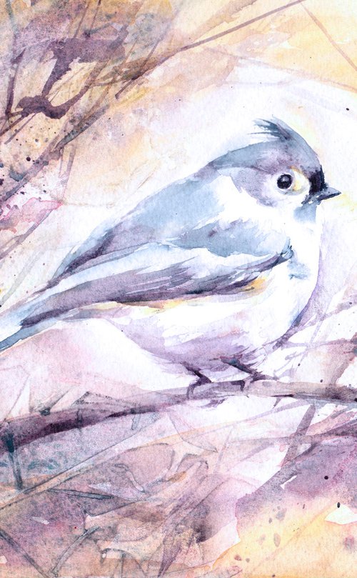 Tufted Titmouse, original watercolour painting of a bird by Anjana Cawdell