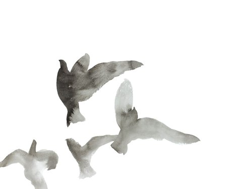 Birds in Flight No. 1 by Elizabeth Becker