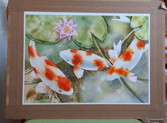 Calming Carp