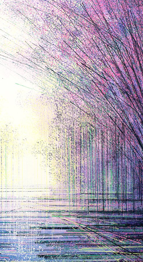 Spring Blossom Trees In Evening Light by Marc Todd