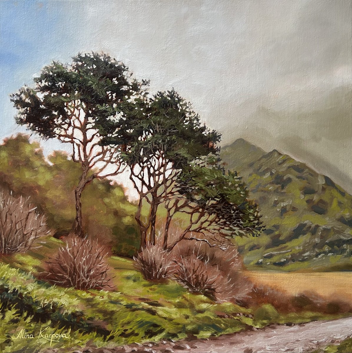 Impressionistic Landscape Oil Painting By Alina Karpova, 16 X 16, Mountain View, Original Artwork