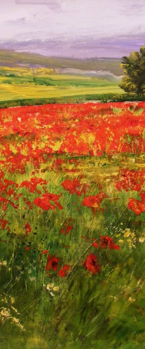 "The field of wild poppies" by Ivan  Grozdanovski