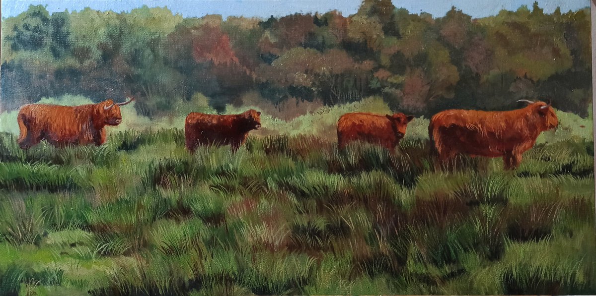 Photorealistic Landscape Oil Painting By Laura Muolo, 24 X 12", The Buffalo Family, Original Artwork