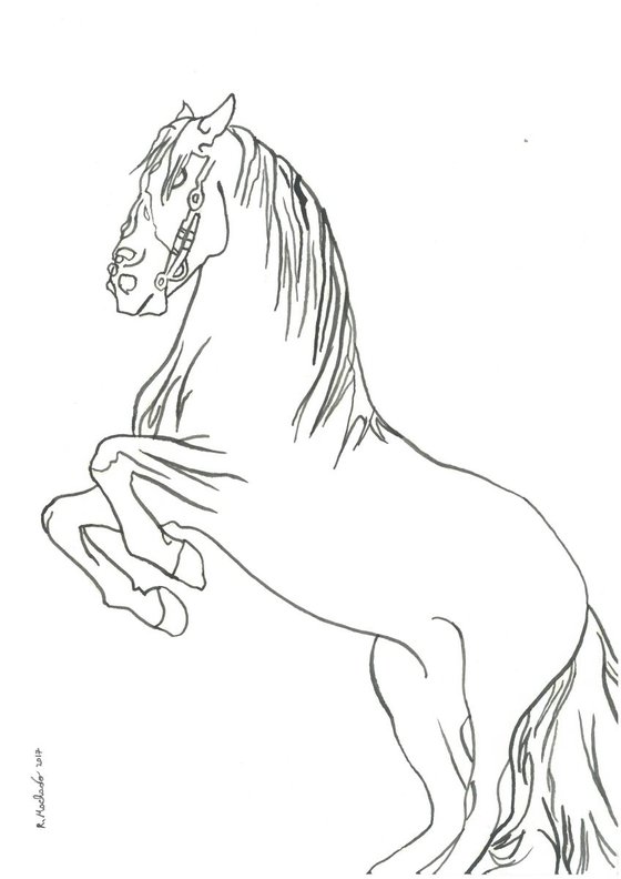 Horse I Animal Drawing